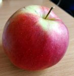 1-IMG 20190409 170804