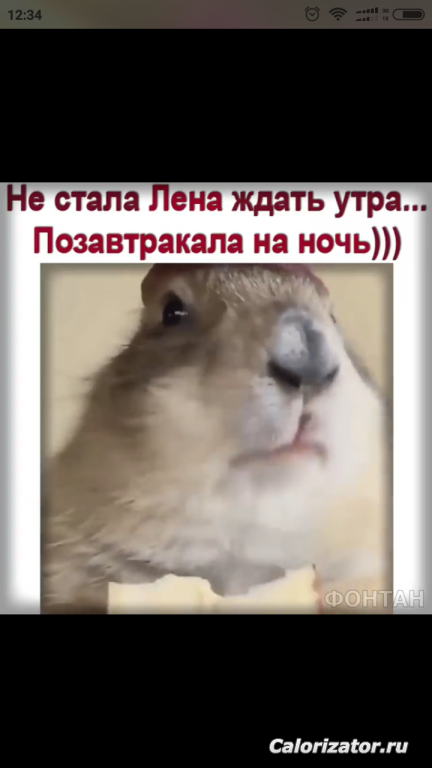 61262041 312158583030694 8227616128776536064 n