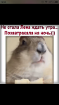 61262041 312158583030694 8227616128776536064 n