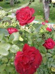IMG 20190901 150932