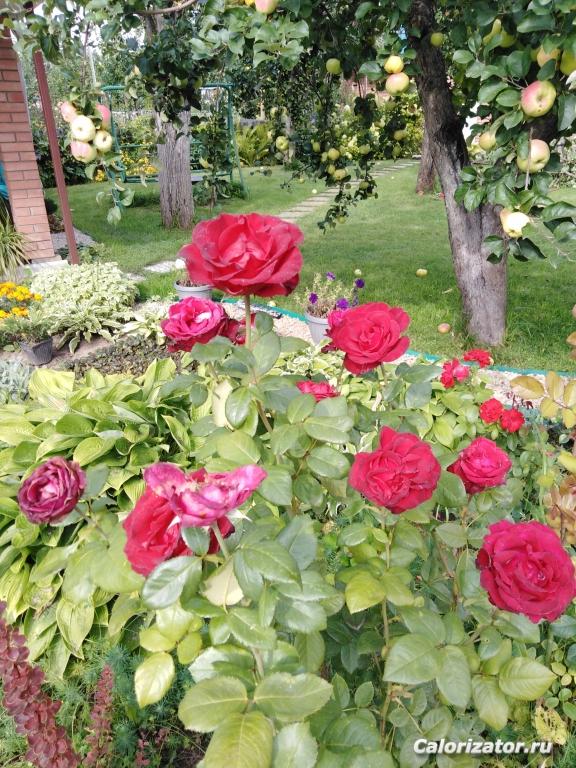 IMG 20190901 150920