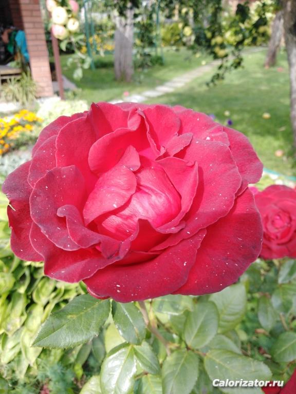 IMG 20190901 150926
