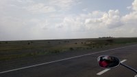 Лошади