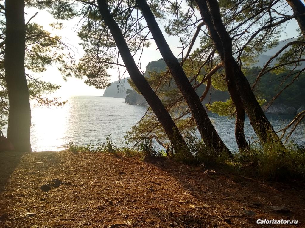 IMG 20190719 185422327 HDR