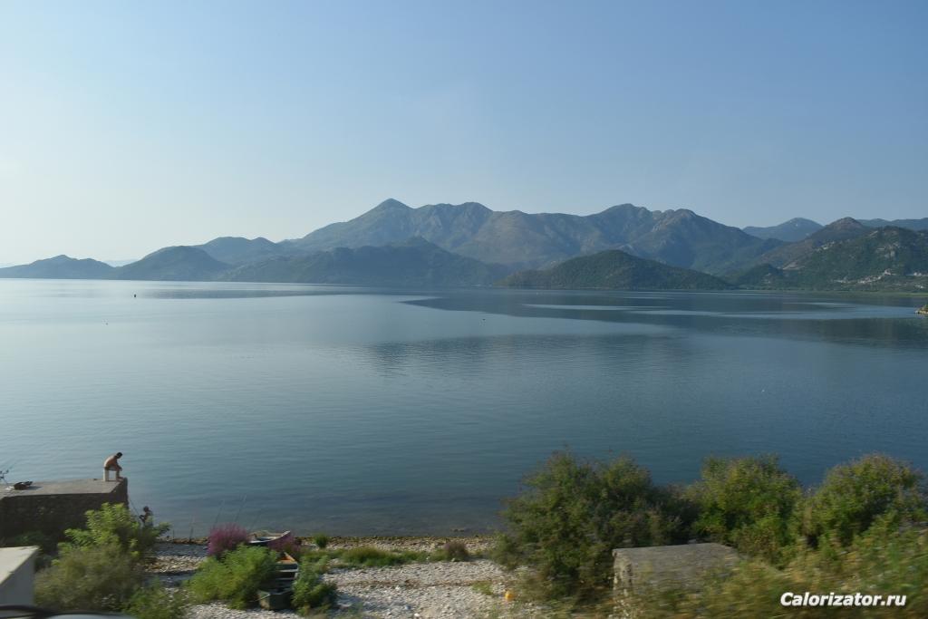DSC 0022