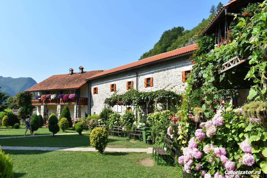 DSC 0107