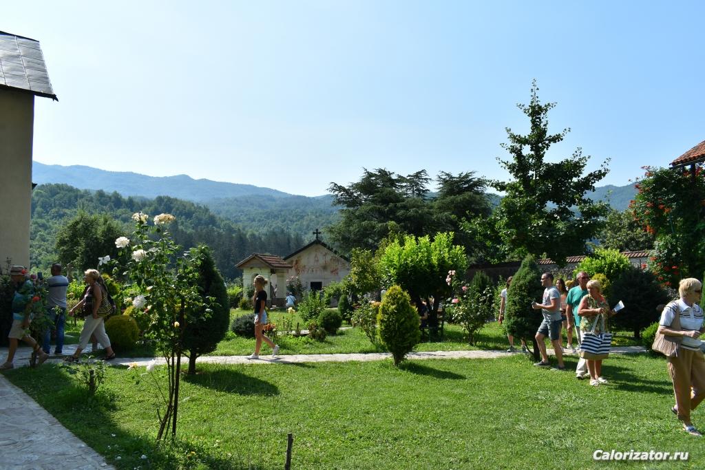 DSC 0117