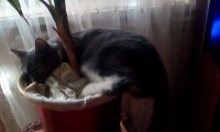 IMG 20191017 131912