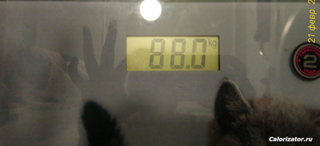 21022020