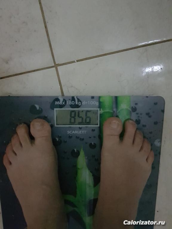 1583472231942528858835281790631