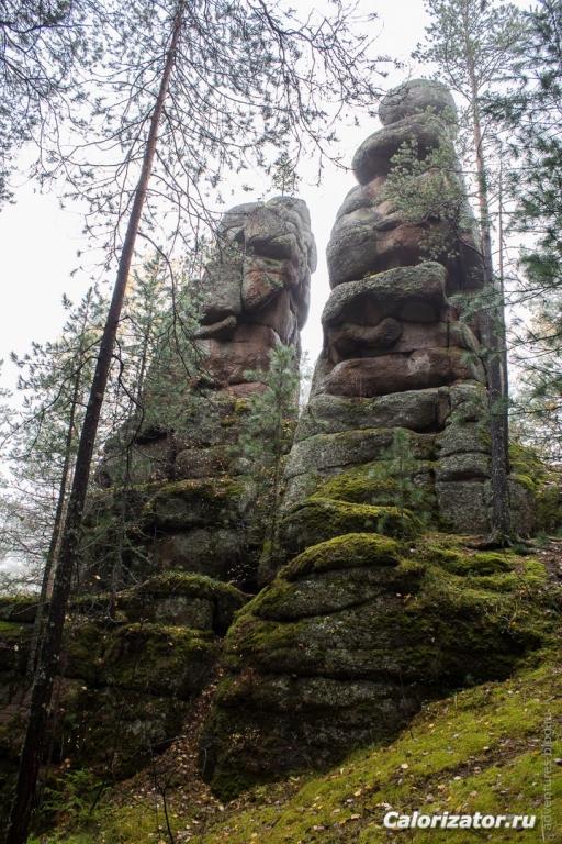 близнецы