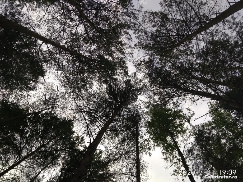 IMG 20200711 190952
