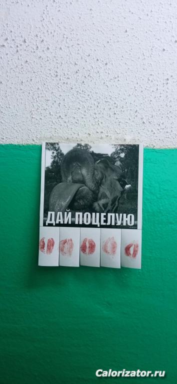 IMG 20220712 111822