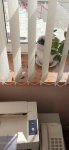 IMG 20220729 080823