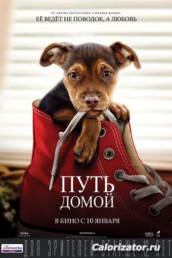 Путь домой (постер)