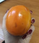 IMG 20221117 234605