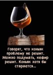 IMG-20211031-WA0022