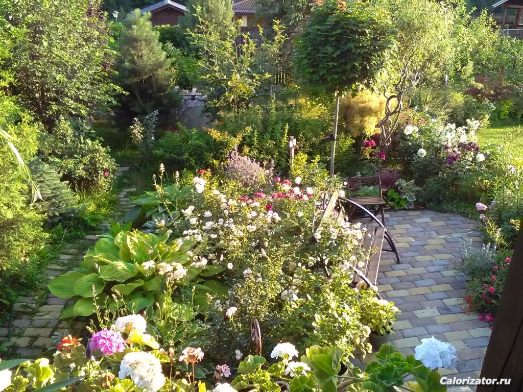 IMG 20190621 193828