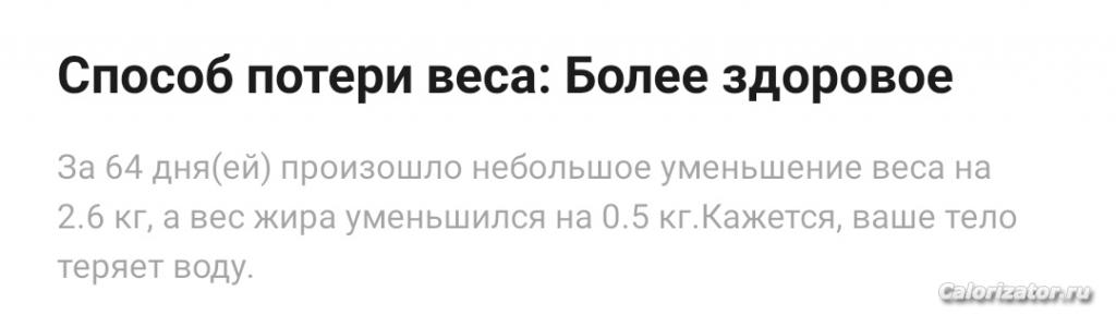 Отчет по Плюшке