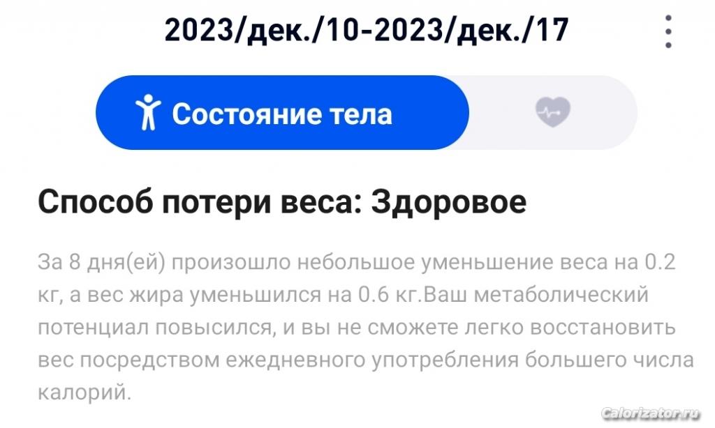 Отчёт 11-17 декабря