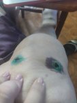 1720809229496