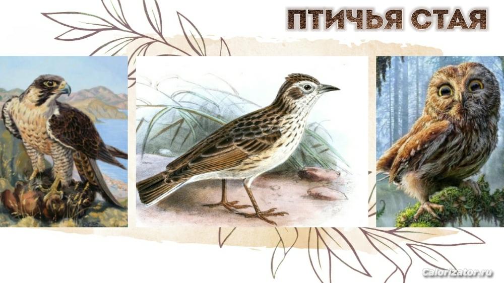Птичья Стая