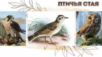 Птичья Стая