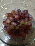 IMG 20231008 225939