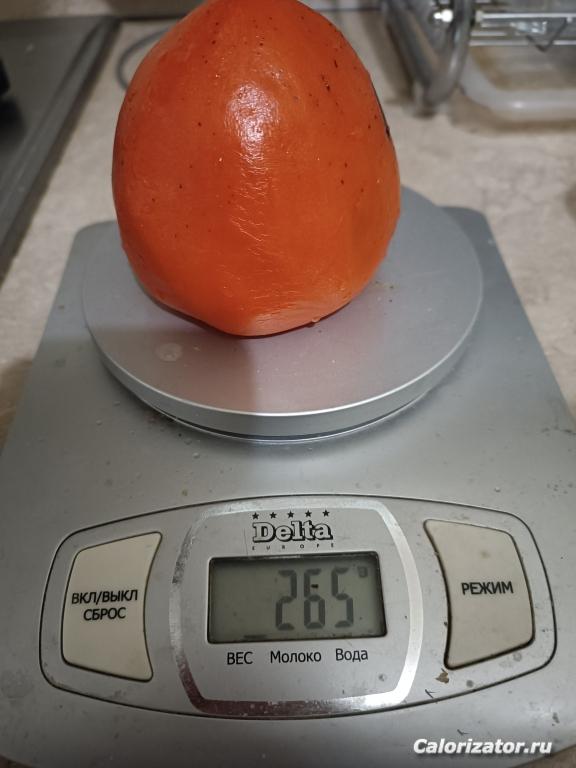 IMG 20231124 184107