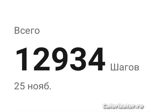 IMG 20231125 204341