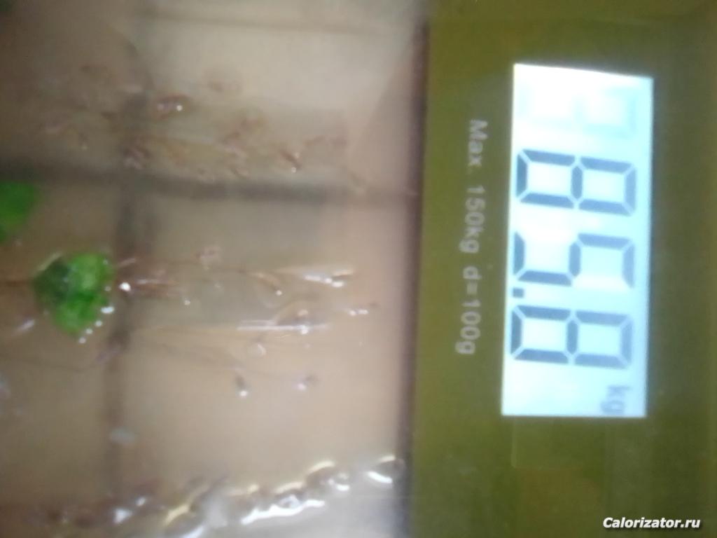 IMG 20220207 095943