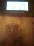 IMG 20220607 043629