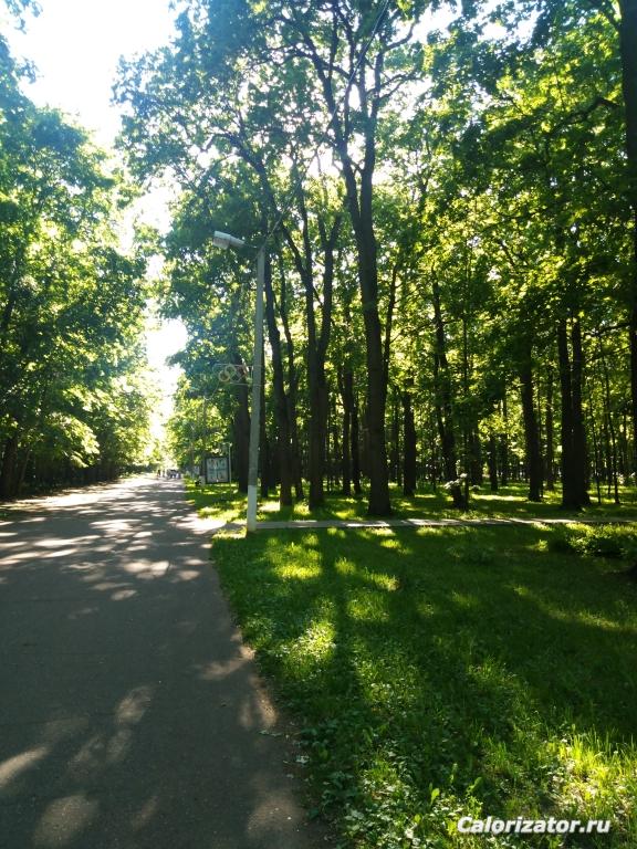 IMG 20220612 163800