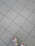 IMG 20220615 201230