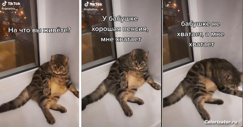 Безымянный