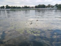 IMG 20220722 181248