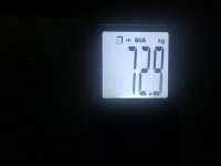 IMG 7186