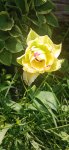 IMG 20220604 113531