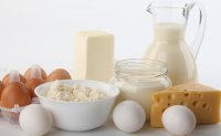 молочные продукты
