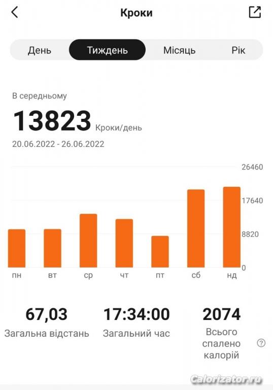 Шаги 20.06-26.06.22
