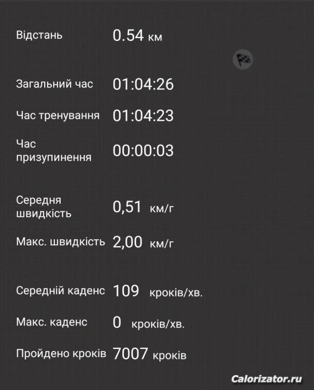 Добивка рекорда по шагам 25.10.20 на степ-платформе