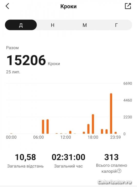 Шаги 25.07.22 Понедельник