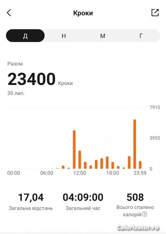 Шаги 30.07.22