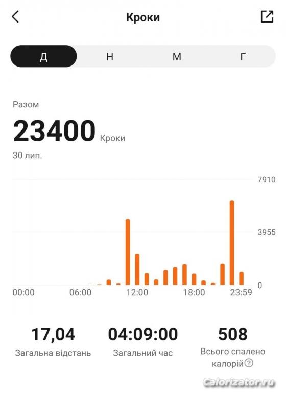 Шаги 30.07.22 Суббота