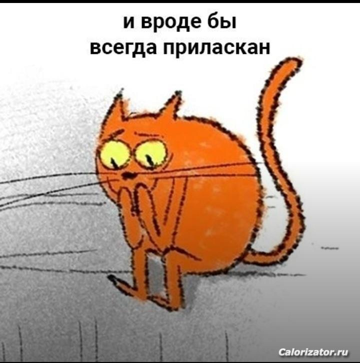 IMG 20220709 111027