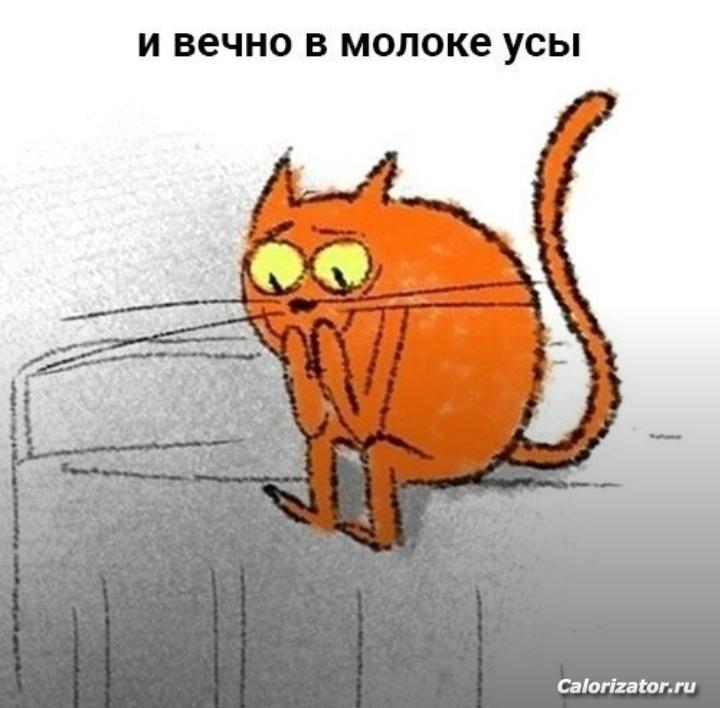 IMG 20220709 111656