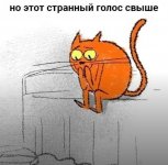 IMG 20220709 111711