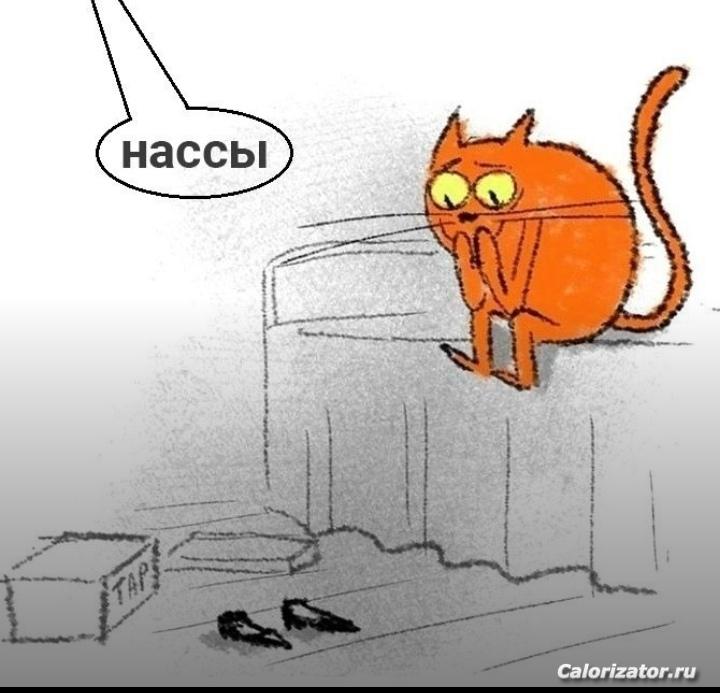 IMG 20220709 111728