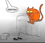 IMG 20220709 111728