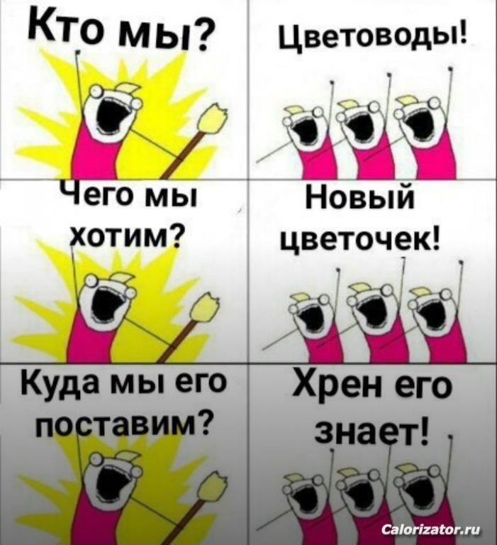 IMG 20220709 111856